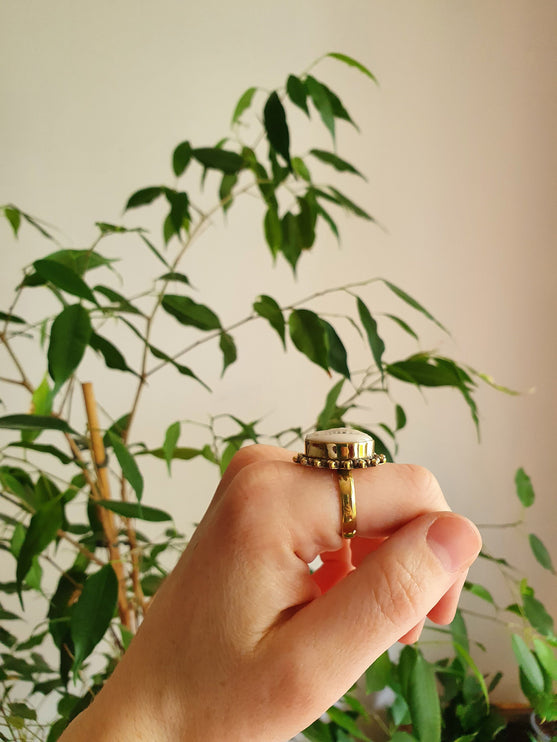 Cowrie Shell Brass Ring / Bohemian / Ethnic / Psy / Rustic / Tribal / Gypsy / Festival / Healing / Festival