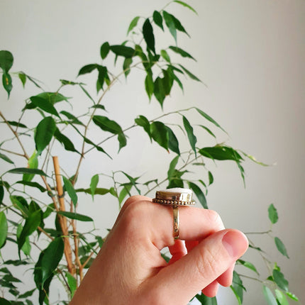 Cowrie Shell Brass Ring / Bohemian / Ethnic / Psy / Rustic / Tribal / Gypsy / Festival / Healing / Festival