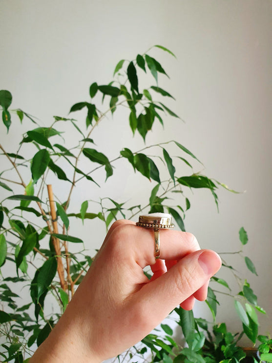 Cowrie Shell Brass Ring / Bohemian / Ethnic / Psy / Rustic / Tribal / Gypsy / Festival / Healing / Festival