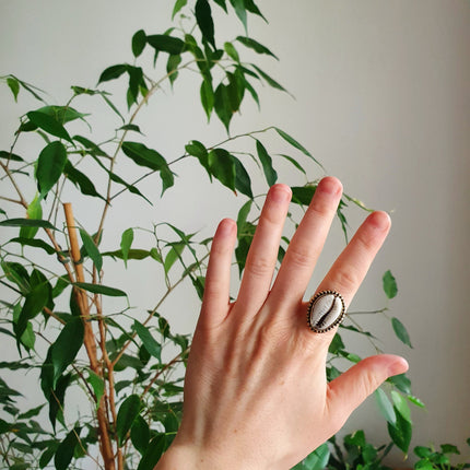 Cowrie Shell Brass Ring / Bohemian / Ethnic / Psy / Rustic / Tribal / Gypsy / Festival / Healing / Festival