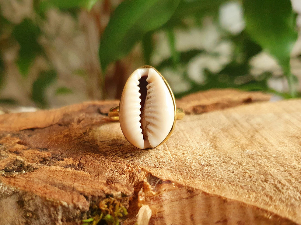 Cowrie Shell Brass Ring / Bohemian / Ethnic / Psy / Rustic / Tribal / Gypsy / Festival / Healing / Festival