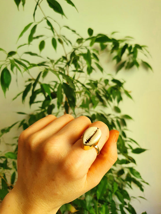 Cowrie Shell Brass Ring / Bohemian / Ethnic / Psy / Rustic / Tribal / Gypsy / Festival / Healing / Festival