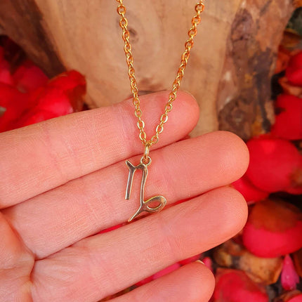 Capricorn Star Sign Horoscope Gold Necklace / Astrology / Tarot / Boho / Hippie / Rustic / Ethnic / Third Eye / Illuminati