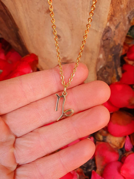 Capricorn Star Sign Horoscope Gold Necklace / Astrology / Tarot / Boho / Hippie / Rustic / Ethnic / Third Eye / Illuminati