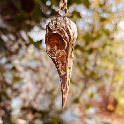 Gold Raven Skull Pendant Necklace / Bird Skull / Viking / Nordic / Gothic / Punk / Taxidermy / Witchcraft / Animal Necklace