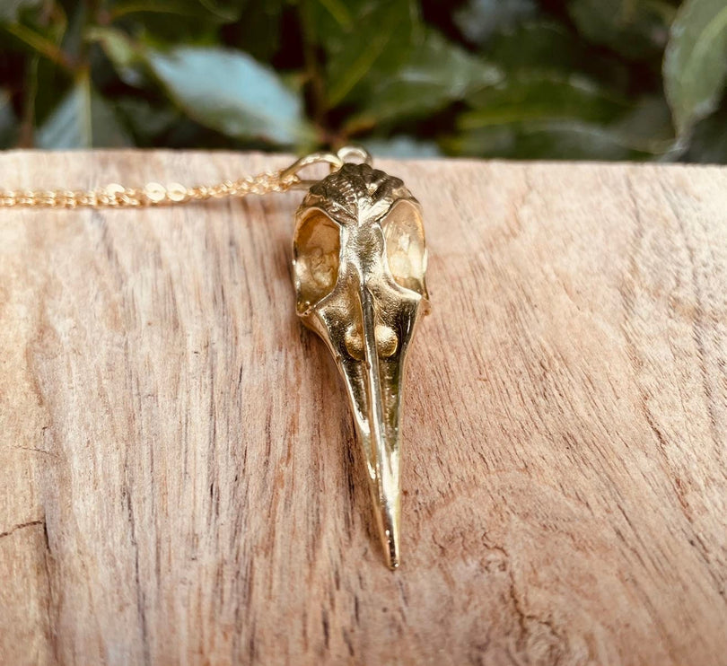 Gold Raven Skull Pendant Necklace / Bird Skull / Viking / Nordic / Gothic / Punk / Taxidermy / Witchcraft / Animal Necklace