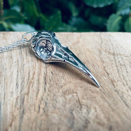 Silver Raven Skull Pendant Necklace / Bird Skull / Viking / Nordic / Gothic / Punk / Taxidermy / Witchcraft / Animal Necklace