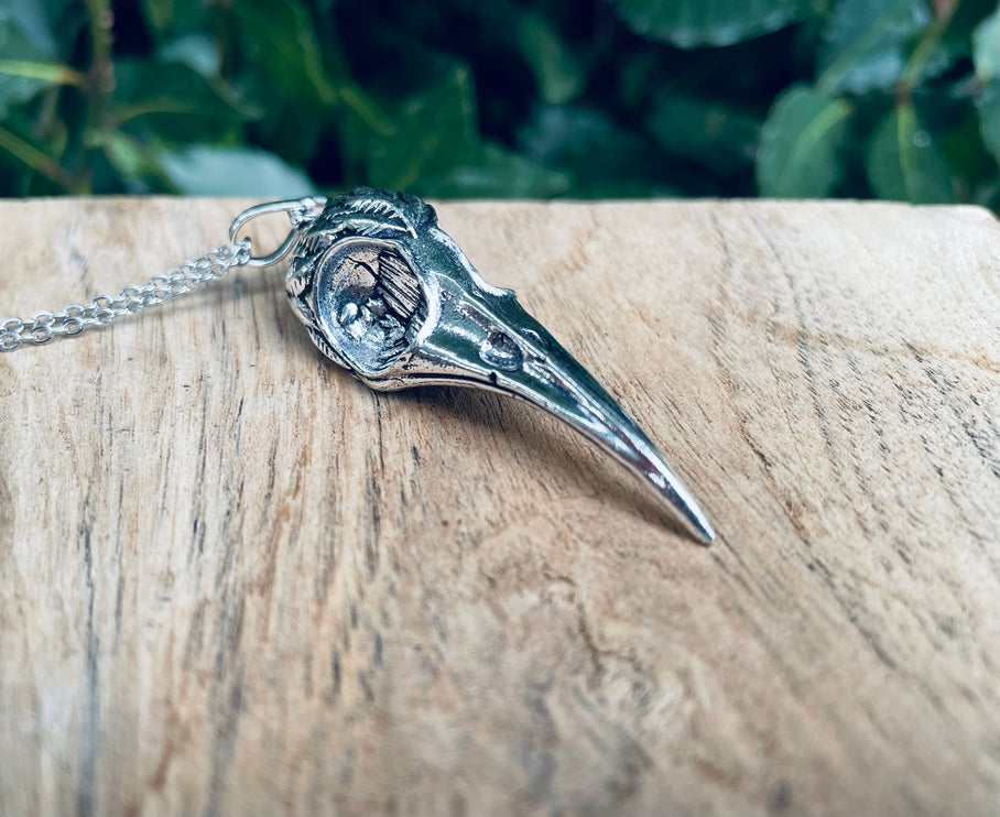 Silver Raven Skull Pendant Necklace / Bird Skull / Viking / Nordic / Gothic / Punk / Taxidermy / Witchcraft / Animal Necklace